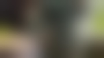 NEW Planet Eclipse Gmek Paintball Marker @ 2017 NXL World Cup