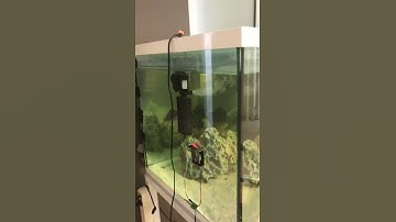 Underwater Wireless Optical Communication System Design (in water) / Blocking