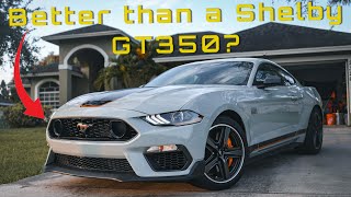 Why I Chose a Mustang Mach 1 over The Shelby GT350