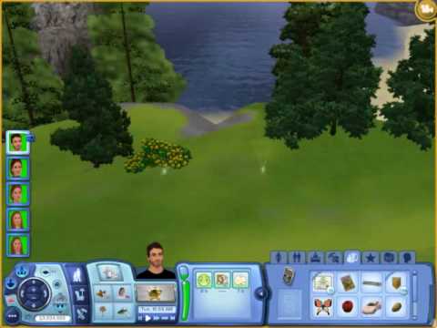 Where To Find The Money Tree Seed On Sims 3