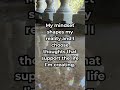 #gratitude #alignment #affirmations #lawofattraction #manifestation #meditation #zen