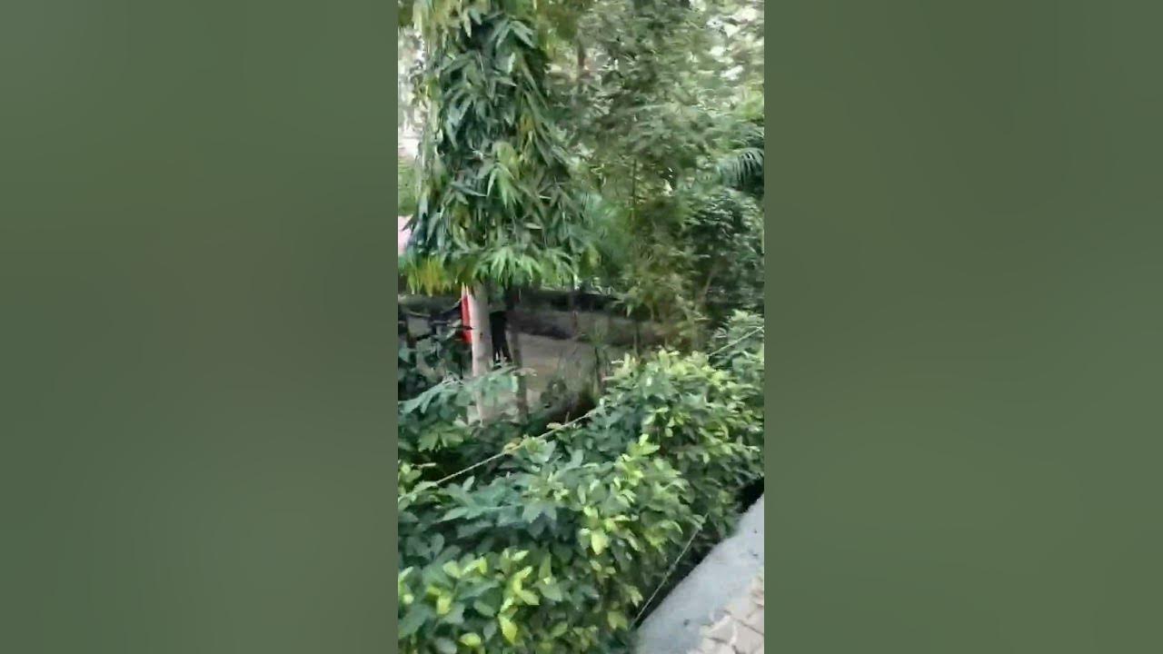 Jagriti Enclave YouTube