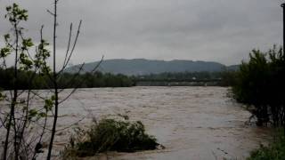 Nowy Sącz - Dunajec 17.05.2010