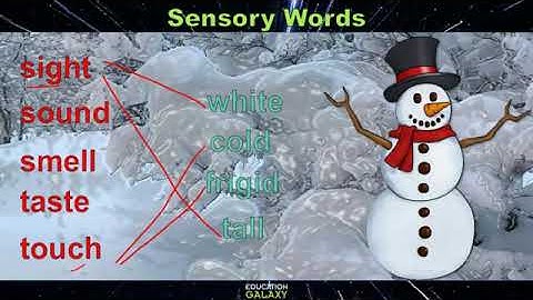 4th Grade - Reading - Sensory Language - Topic Overview