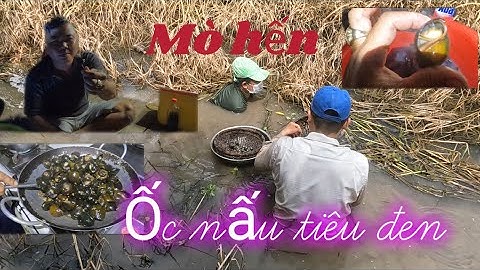 Cùng gái miền Tây mò hến, bắt ốc về làm món ốc sốt tiêu cực ngon#cuocsongqueem