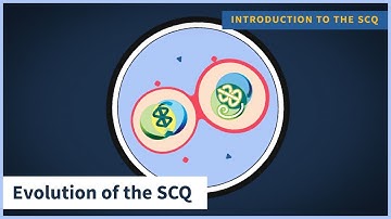 Sinclair Compassion Questionnaire (SCQ): Evolution of the SCQ