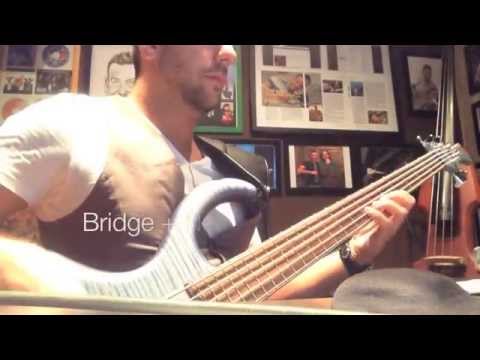 the-big-bass-guitar-test-2014