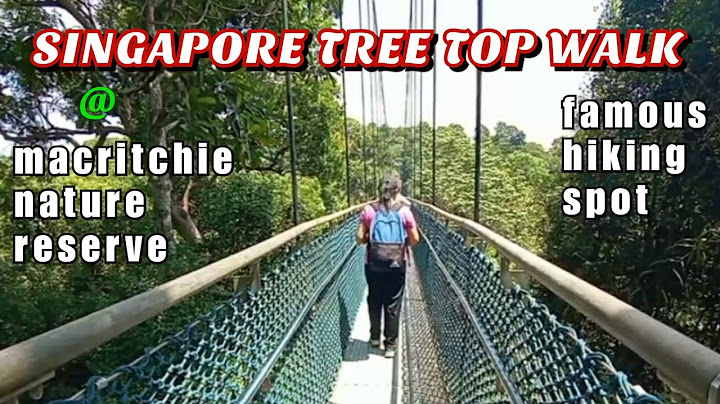 How to get to tree top walk singapore năm 2024