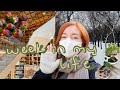 a week of my life in seoul, korea VLOG | libraries, snow, and my apartment