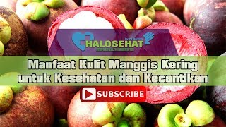 Olahan Kulit Buah Manggis yang Bermanfaat Untuk Tubuh