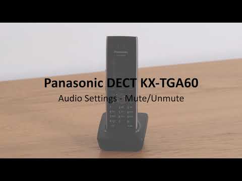Panasonic DECT KX-TGP600 - Audio Settings: Mute / Unmute a call