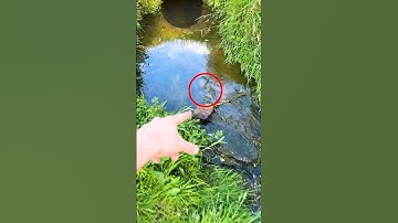 J’ai Trouvé un Truc ! 😱