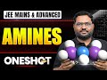 AMINES in 1 Shot: All Concepts &amp; PYQs Covered | JEE Main &amp; Advanced