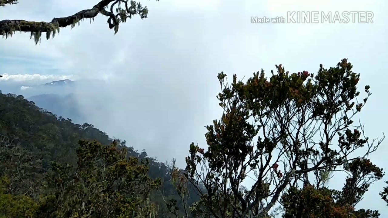 into the wild cikuray mountain 2821 mdpl