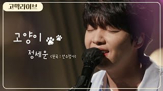 정세운 - 고양이 (원곡: 선우정아 SWJA) / Jeong Sewoon - C A T 《고막메이트/고막라이브》