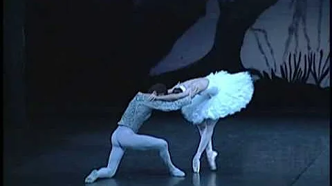 Dorothee Gilbert - Swan Lake