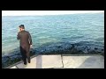 Doha Qatar near Dubai location punjab Whatsapp status Whatsapp Status Video Download Free