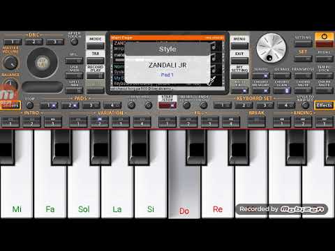 عزف اغنية صحة يا صحة سطايفي