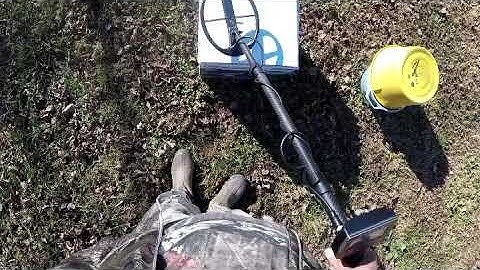 Tarsacci MDT 8000 modes compared over nailcoin