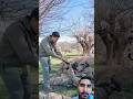 Army Training Off power full And Danger 💪 Good #army #military #shortsfeed #shortvideo #viralvideo