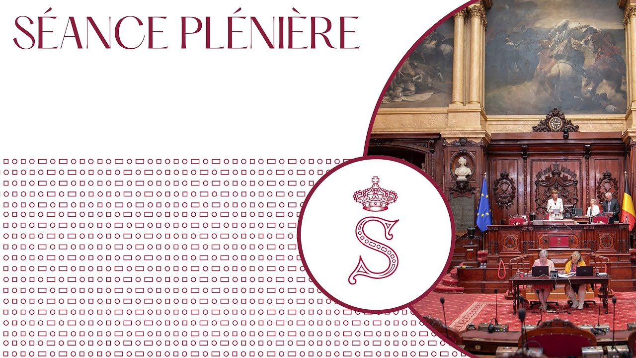 Séance plénière du Sénat de Belgique - 29/11/2024