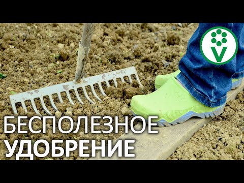 Видео: Удобрение из костной муки: как использовать костную муку на цветах