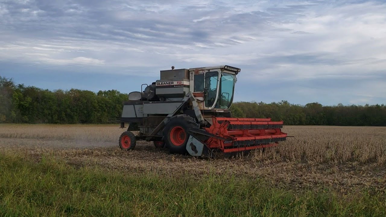 Harvest 2019: Combining Soybeans