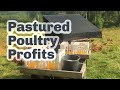HOW TO RUN A PROFITABLE PASTURED POULTRY BUSINESS S5 ● E40
