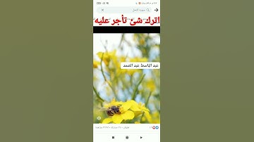 صوت يريح القلب آيات من سورة النحل بصوت الشيخ عبد الباسط عبد الصمد
