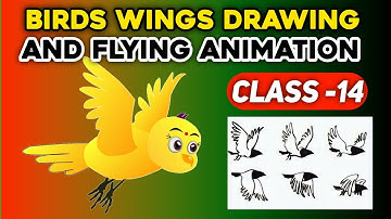 How to birds flying animation in Adobe animate cc Class -14 animate cc tutorial cartoon birds story
