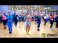 Pasoori  calm down urban desi mix by dj nick dhillon  choreo by zumba suzy  zumba fitness