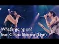 What&#39;s going on? feat. Celina Sharma (Live)