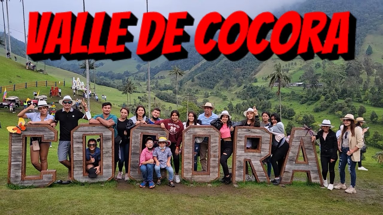 Visitamos el Valle de Cocora y quedamos encantados con toda su belleza