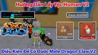 King Legacy - Hướng Dẫn Lấy Tộc Human V2 Điều Kiện Để Có Được Mele Dragon Claw V2 | Roblox