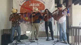 El Balajú por Tereso Vega y compañía en San Cristóbal de las Casas