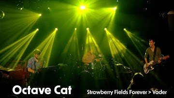 Octave Cat - Strawberry Fields Forever → Vader - 8.27.2023 - Park City Music Hall - Bridgeport, CT