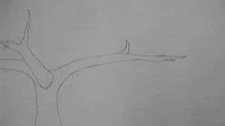 Final Animation 2 Part 2