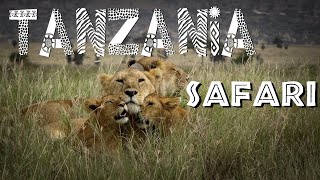 Tanzania SAFARI | Serengeti, Lake Manyara, Ngorongoro Crater & Tarangire | African Safari