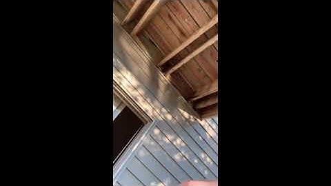 Training For The NFFA Combine