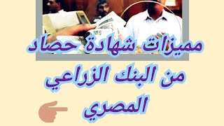 مميزات شهادة حصاد من البنك الزراعي المصرى