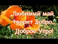 ЛЮБИМЫЙ МАЙ ТВОРИТ ДОБРО!ДОБРОЕ МАЙСКОЕ ПОЖЕЛАНИЕ!