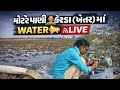 Vigha Paddy Field Filling Preparation 🌾 | Dungar Transplanting Continues LIVE | ડાંગર રોપણી ચાલુ