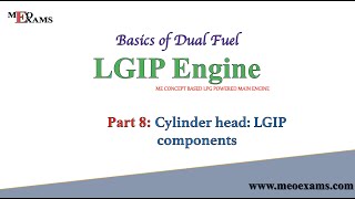LGIP Engine : Part 8 - Cylinder Head, LGIP Components.