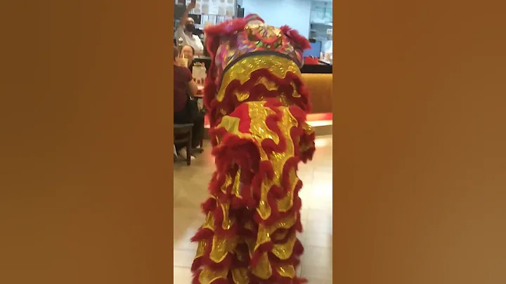 LION DANCE #shorts #shortsfeed