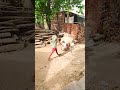 gaon ki bache #sarita bhagat #yt shorts #mini vlogs