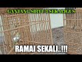 GANTANG SIRTU DENGAN MILIK TETANGGA GACOR DORR..!!