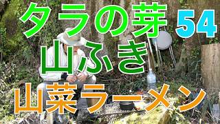 タラの芽山ふき山菜ラーメン 54