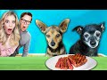 Leaving Our Dog Alone With a Juicy Steak and Eggs - PawZam Dogs