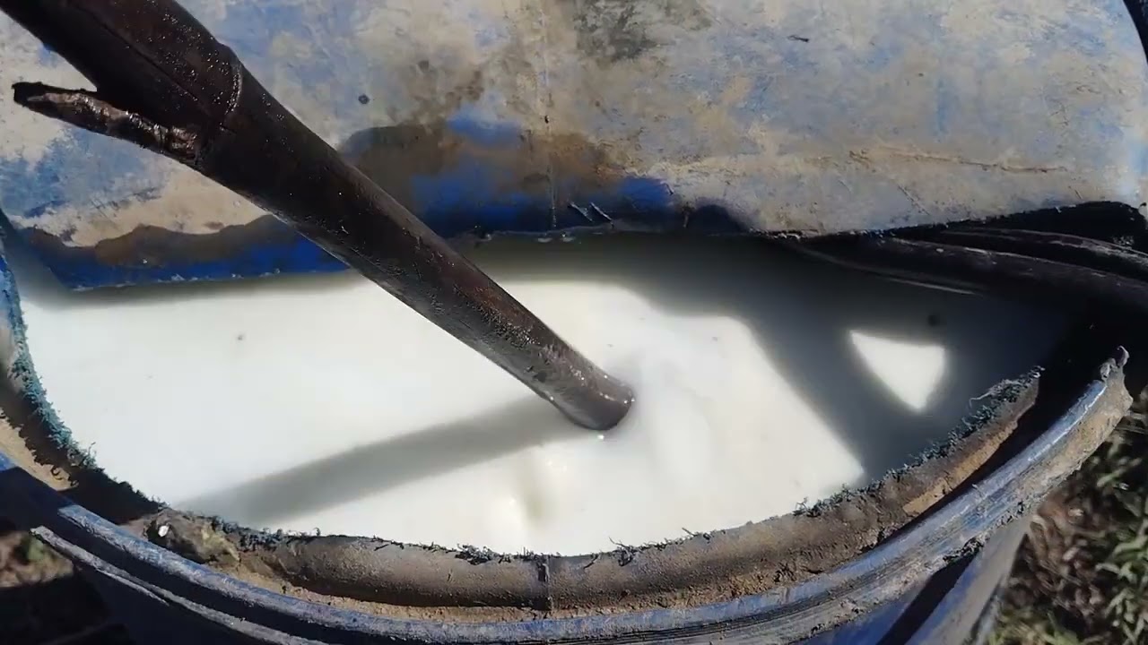 HMO Spray on Apple Trees at Green Tip Stage | Effective Disease Prevention