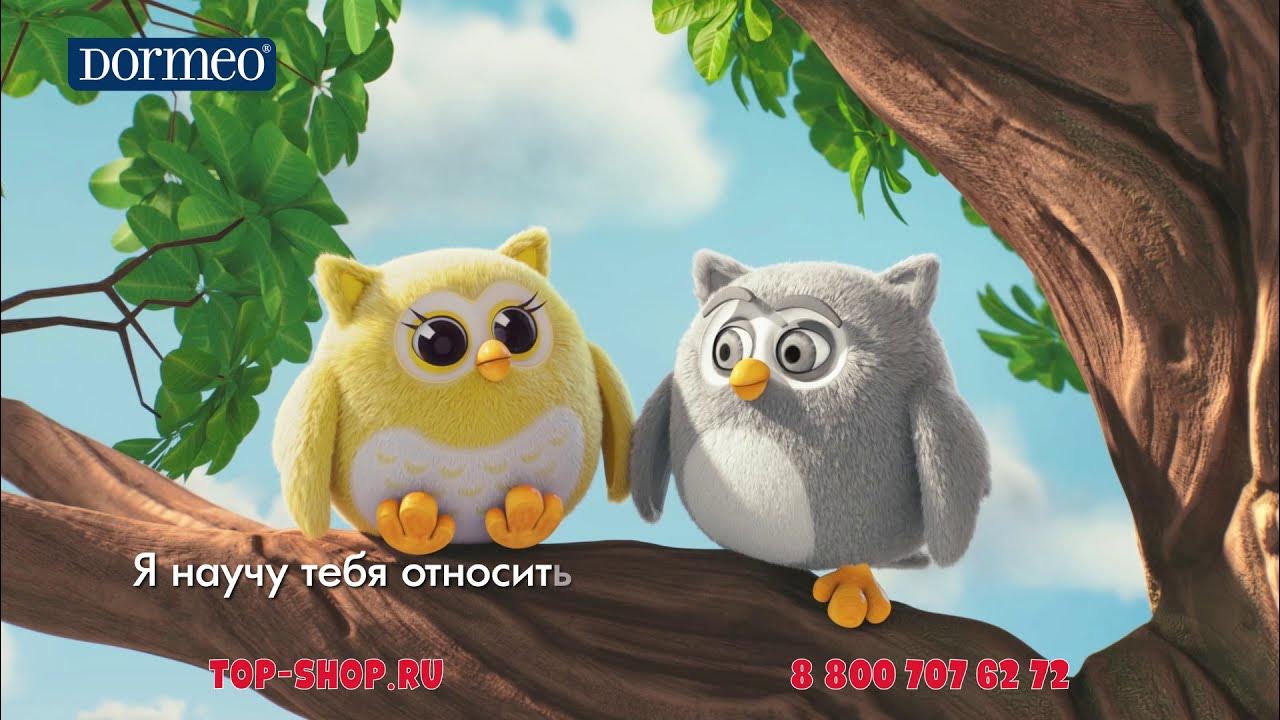 Игрушка Dormeo «Сова» 3 в 1 - YouTube